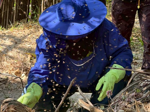 คณะวิทยาศาสตร์ มหาวิทยาลัยพะเยา