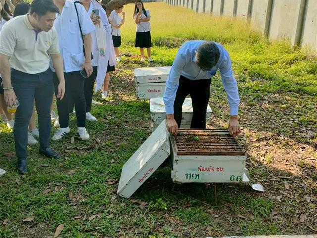 พัฒนากำลังคนที่มีสมรรถนะและทักษะแห่งอนาคต มุ่งเน้นการพัฒนาศักยภาพของบุคลากรและนักศึกษาให้มีทักษะที่สอดคล้องกับโลกอนาคต เช่น การได้รับรางวัล การส่งเสริมการเรียนรู้ผ่านโครงการรับสมัครเรียน หลักสูตร UP PSF และวิชา GE เพื่อยกระดับคุณภาพคนและสังคมแห่งการเรียนรู้