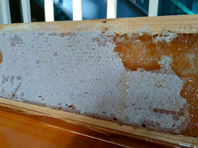 พัฒนากำลังคนที่มีสมรรถนะและทักษะแห่งอนาคต มุ่งเน้นการพัฒนาศักยภาพของบุคลากรและนักศึกษาให้มีทักษะที่สอดคล้องกับโลกอนาคต เช่น การได้รับรางวัล การส่งเสริมการเรียนรู้ผ่านโครงการรับสมัครเรียน หลักสูตร UP PSF และวิชา GE เพื่อยกระดับคุณภาพคนและสังคมแห่งการเรียนรู้