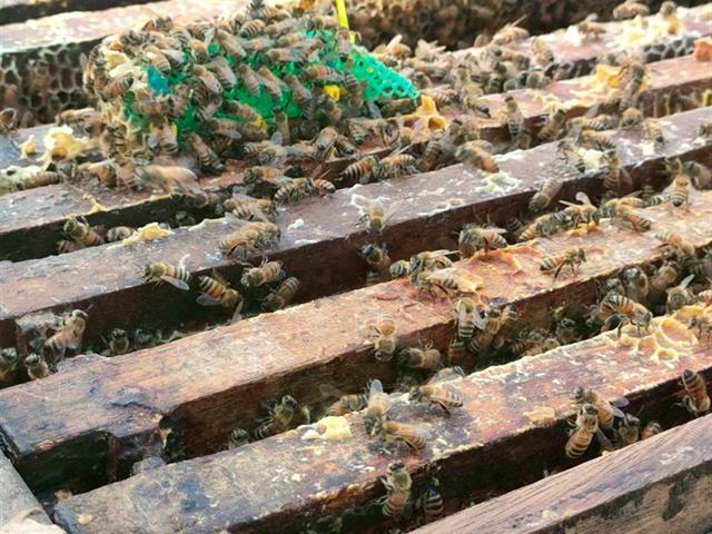 พัฒนากำลังคนที่มีสมรรถนะและทักษะแห่งอนาคต มุ่งเน้นการพัฒนาศักยภาพของบุคลากรและนักศึกษาให้มีทักษะที่สอดคล้องกับโลกอนาคต เช่น การได้รับรางวัล การส่งเสริมการเรียนรู้ผ่านโครงการรับสมัครเรียน หลักสูตร UP PSF และวิชา GE เพื่อยกระดับคุณภาพคนและสังคมแห่งการเรียนรู้