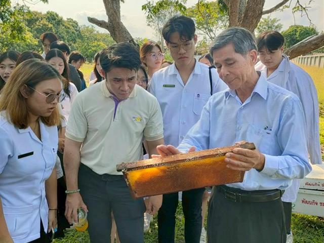 พัฒนากำลังคนที่มีสมรรถนะและทักษะแห่งอนาคต มุ่งเน้นการพัฒนาศักยภาพของบุคลากรและนักศึกษาให้มีทักษะที่สอดคล้องกับโลกอนาคต เช่น การได้รับรางวัล การส่งเสริมการเรียนรู้ผ่านโครงการรับสมัครเรียน หลักสูตร UP PSF และวิชา GE เพื่อยกระดับคุณภาพคนและสังคมแห่งการเรียนรู้