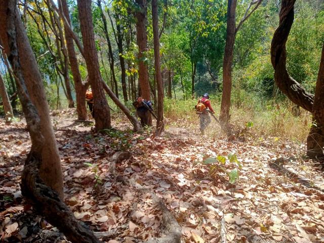 กองอาคารสถานที่ มหาวิทยาลัยพะเยา