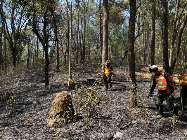 กองอาคารสถานที่ มหาวิทยาลัยพะเยา