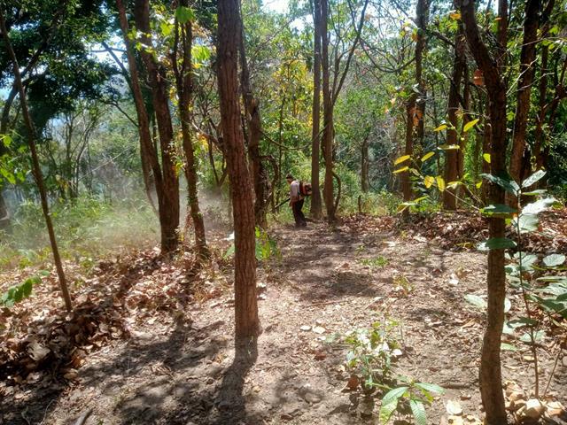 กองอาคารสถานที่ มหาวิทยาลัยพะเยา