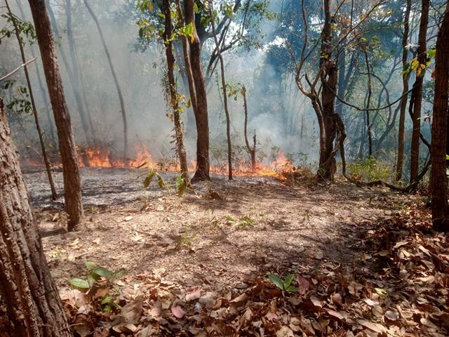 กองอาคารสถานที่ มหาวิทยาลัยพะเยา