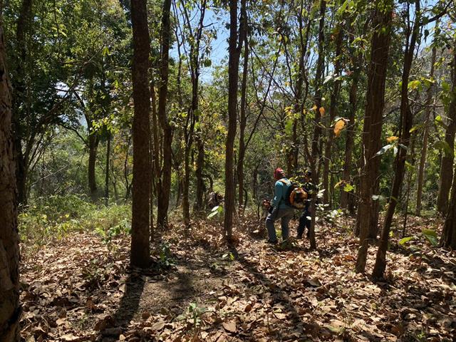 กองอาคารสถานที่ มหาวิทยาลัยพะเยา