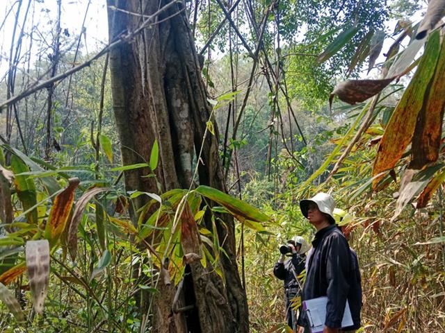 กองอาคารสถานที่ มหาวิทยาลัยพะเยา