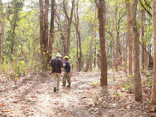 กองอาคารสถานที่ มหาวิทยาลัยพะเยา