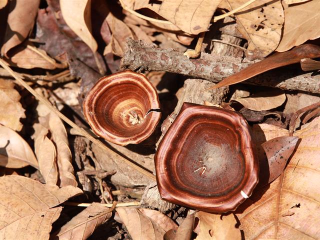 กองอาคารสถานที่ มหาวิทยาลัยพะเยา