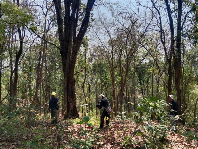 กองอาคารสถานที่ มหาวิทยาลัยพะเยา