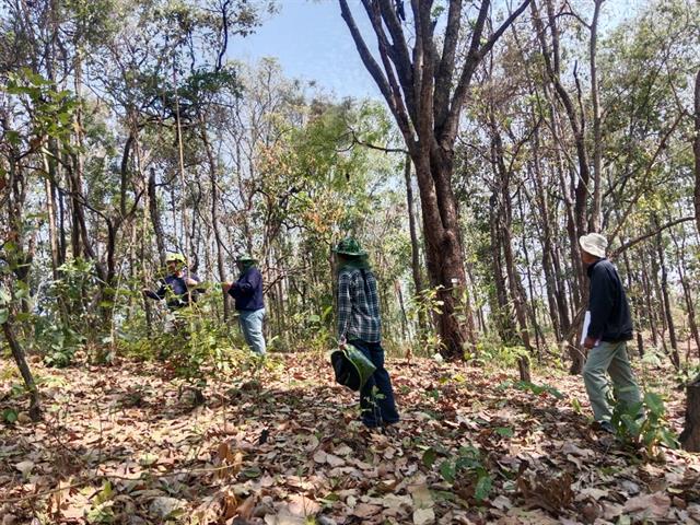 กองอาคารสถานที่ มหาวิทยาลัยพะเยา