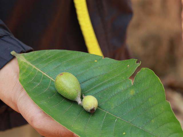 กองอาคารสถานที่ มหาวิทยาลัยพะเยา