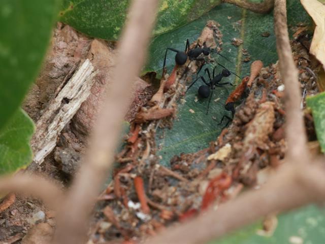 กองอาคารสถานที่ มหาวิทยาลัยพะเยา