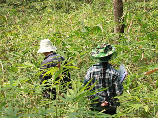 กองอาคารสถานที่ มหาวิทยาลัยพะเยา
