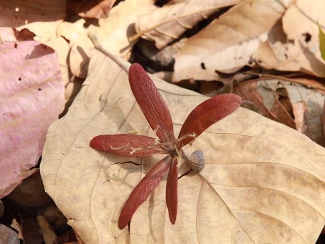 กองอาคารสถานที่ มหาวิทยาลัยพะเยา