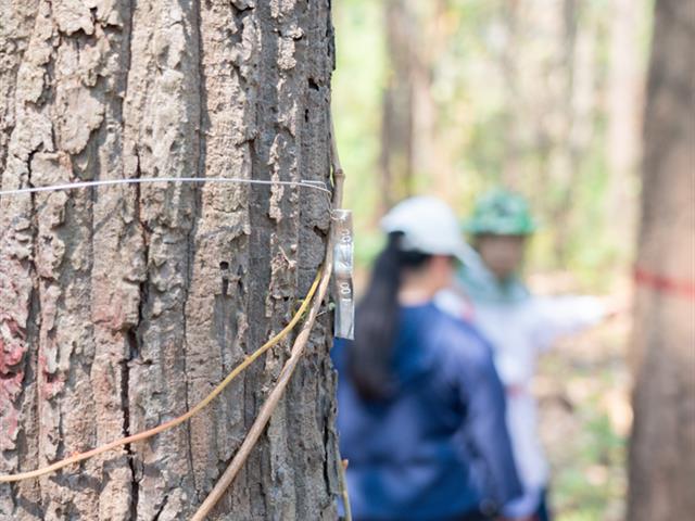 ศูนย์สิ่งแวดล้อมและการจัดการที่ยั่งยืน มหาวิทยาลัยพะเยา