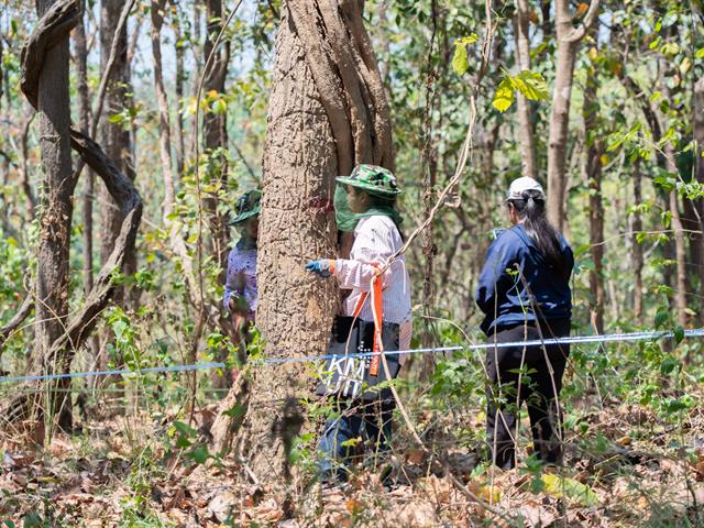 ศูนย์สิ่งแวดล้อมและการจัดการที่ยั่งยืน มหาวิทยาลัยพะเยา