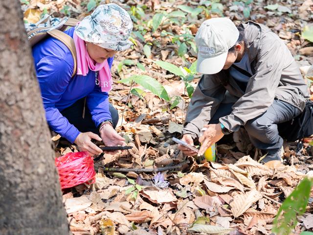 ศูนย์สิ่งแวดล้อมและการจัดการที่ยั่งยืน มหาวิทยาลัยพะเยา