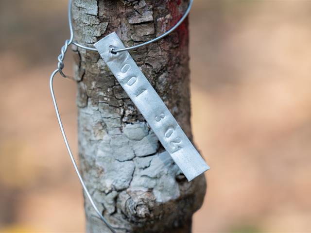 ศูนย์สิ่งแวดล้อมและการจัดการที่ยั่งยืน มหาวิทยาลัยพะเยา