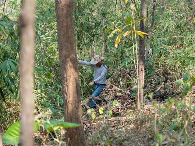 ศูนย์สิ่งแวดล้อมและการจัดการที่ยั่งยืน มหาวิทยาลัยพะเยา