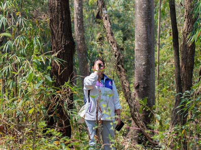 ศูนย์สิ่งแวดล้อมและการจัดการที่ยั่งยืน มหาวิทยาลัยพะเยา