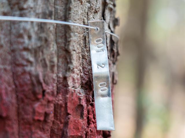 ศูนย์สิ่งแวดล้อมและการจัดการที่ยั่งยืน มหาวิทยาลัยพะเยา