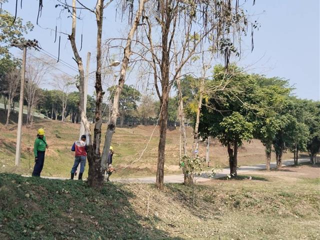 กองอาคารสถานที่ มหาวิทยาลัยพะเยา