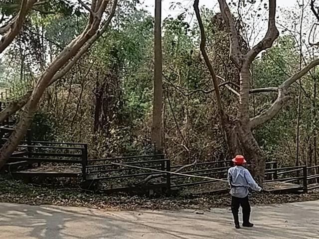 กองอาคารสถานที่ มหาวิทยาลัยพะเยา