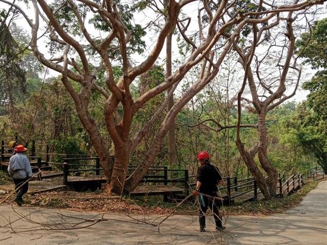 กองอาคารสถานที่ มหาวิทยาลัยพะเยา