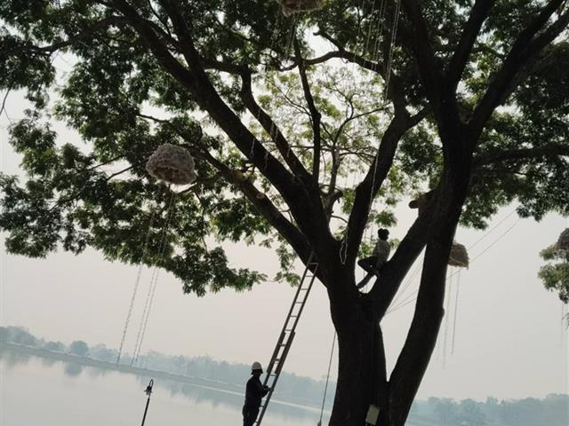 กองอาคารสถานที่ มหาวิทยาลัยพะเยา