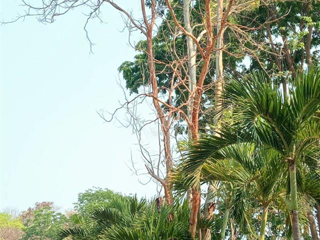 กองอาคารสถานที่ มหาวิทยาลัยพะเยา