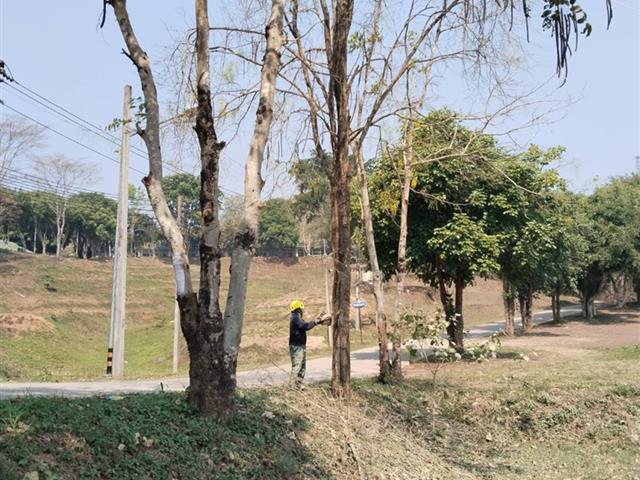 กองอาคารสถานที่ มหาวิทยาลัยพะเยา