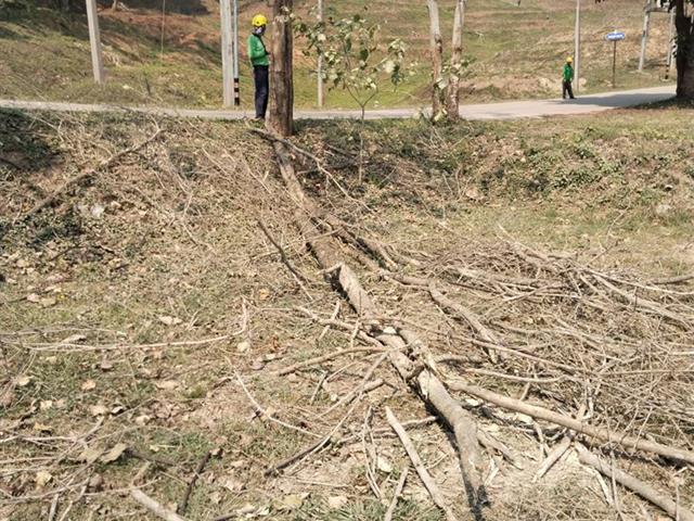 กองอาคารสถานที่ มหาวิทยาลัยพะเยา