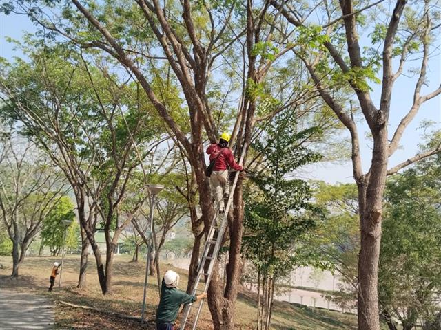 กองอาคารสถานที่ มหาวิทยาลัยพะเยา