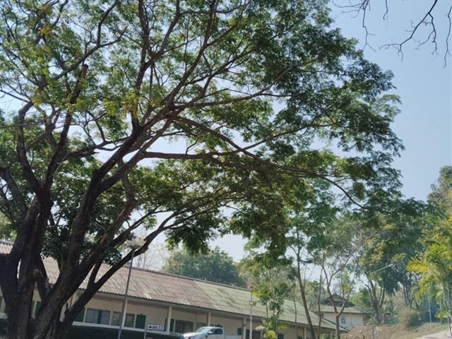 กองอาคารสถานที่ มหาวิทยาลัยพะเยา