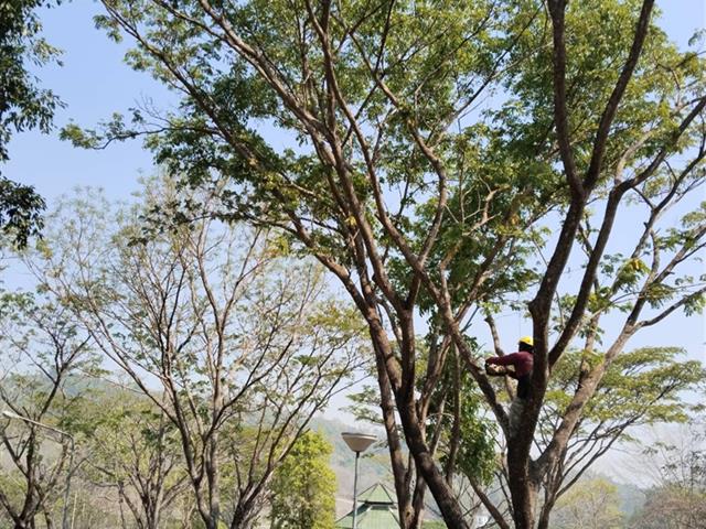 กองอาคารสถานที่ มหาวิทยาลัยพะเยา