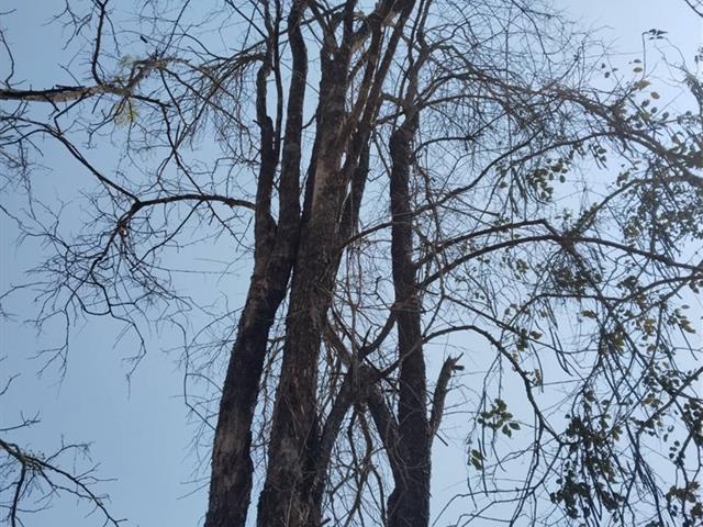 กองอาคารสถานที่ มหาวิทยาลัยพะเยา