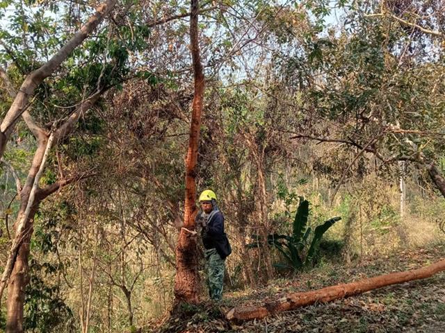 กองอาคารสถานที่ มหาวิทยาลัยพะเยา