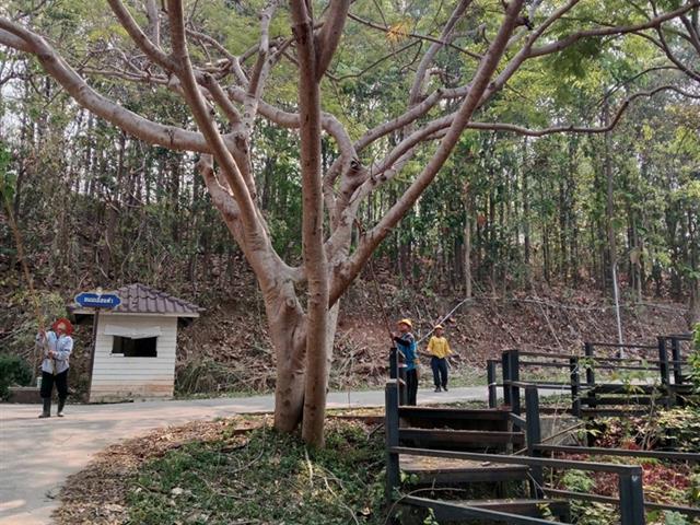 กองอาคารสถานที่ มหาวิทยาลัยพะเยา