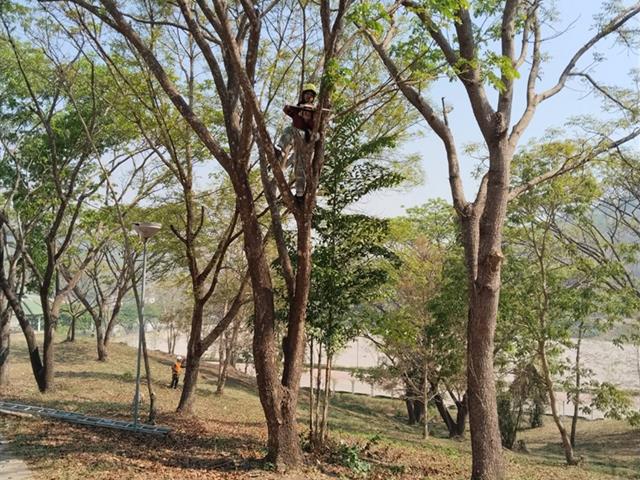 กองอาคารสถานที่ มหาวิทยาลัยพะเยา