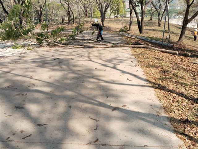 กองอาคารสถานที่ มหาวิทยาลัยพะเยา