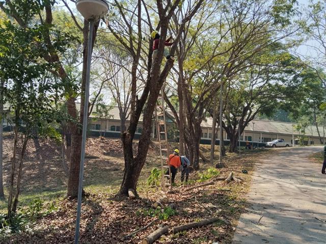 กองอาคารสถานที่ มหาวิทยาลัยพะเยา