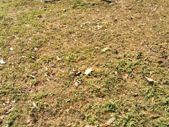 กองอาคารสถานที่ มหาวิทยาลัยพะเยา