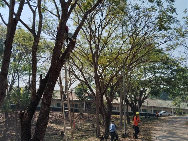 กองอาคารสถานที่ มหาวิทยาลัยพะเยา