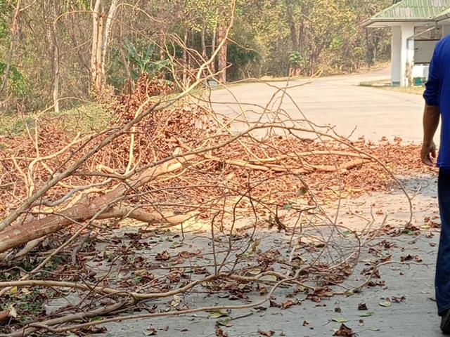 กองอาคารสถานที่ มหาวิทยาลัยพะเยา