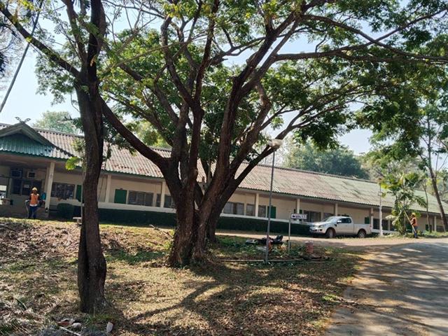 กองอาคารสถานที่ มหาวิทยาลัยพะเยา