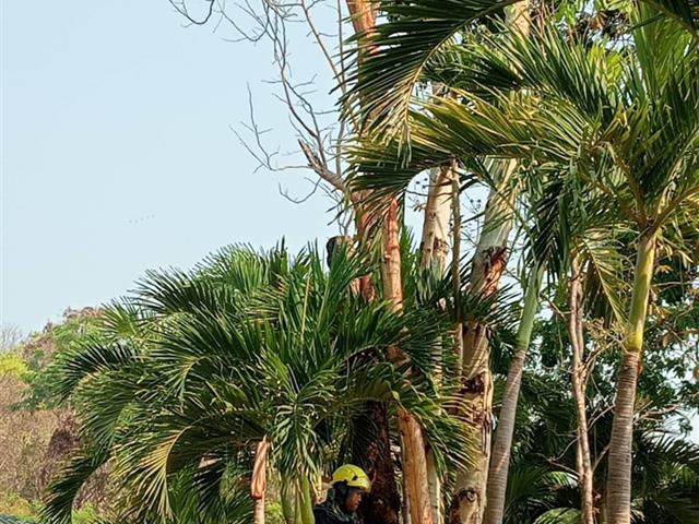 กองอาคารสถานที่ มหาวิทยาลัยพะเยา