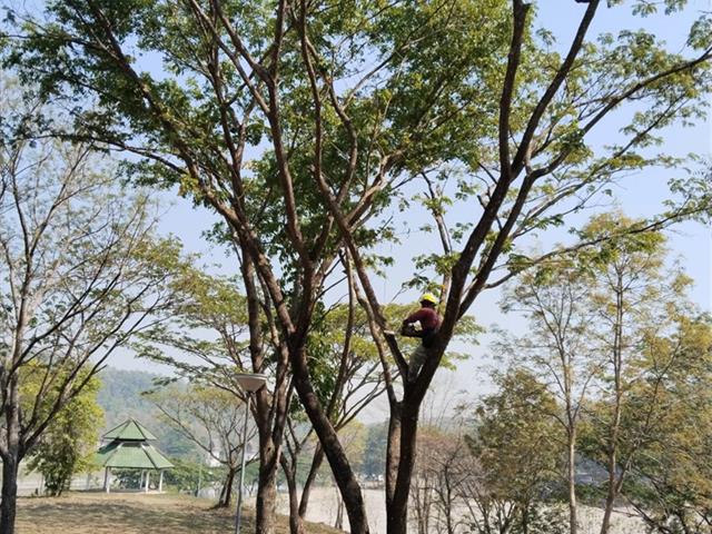 กองอาคารสถานที่ มหาวิทยาลัยพะเยา