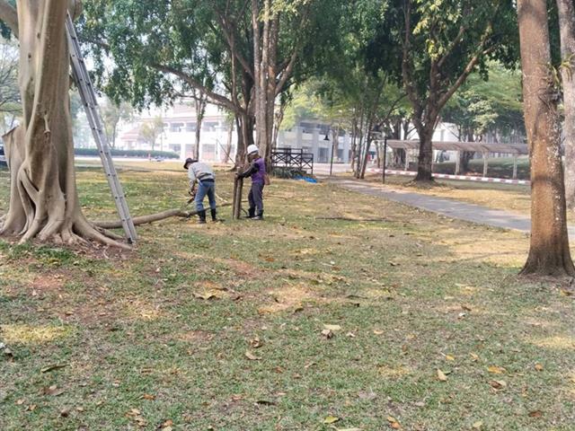 กองอาคารสถานที่ มหาวิทยาลัยพะเยา