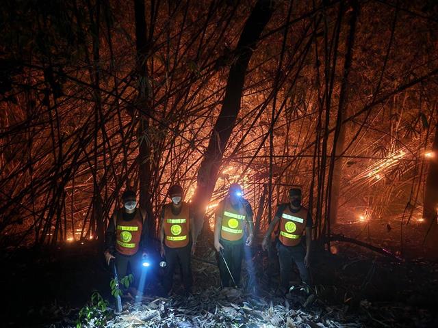 มหาวิทยาลัยพะเยา